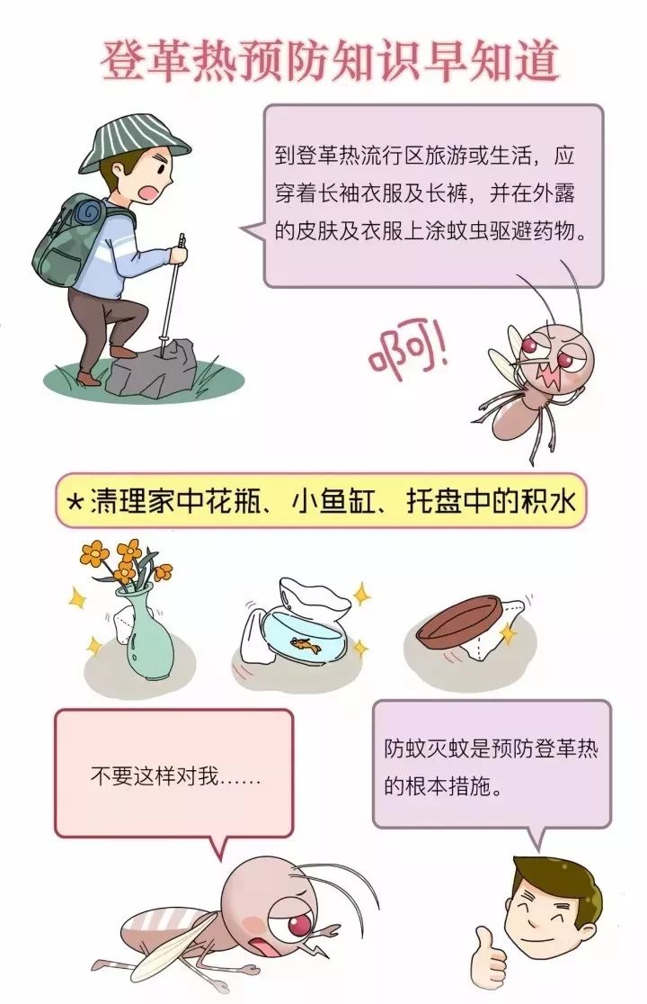 【登革热在中国叫什么病,登革热吃什么药好得快】