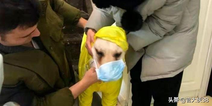 【新冠状病毒是天灾还是人祸,新冠状病毒是天灾还是人祸呢】