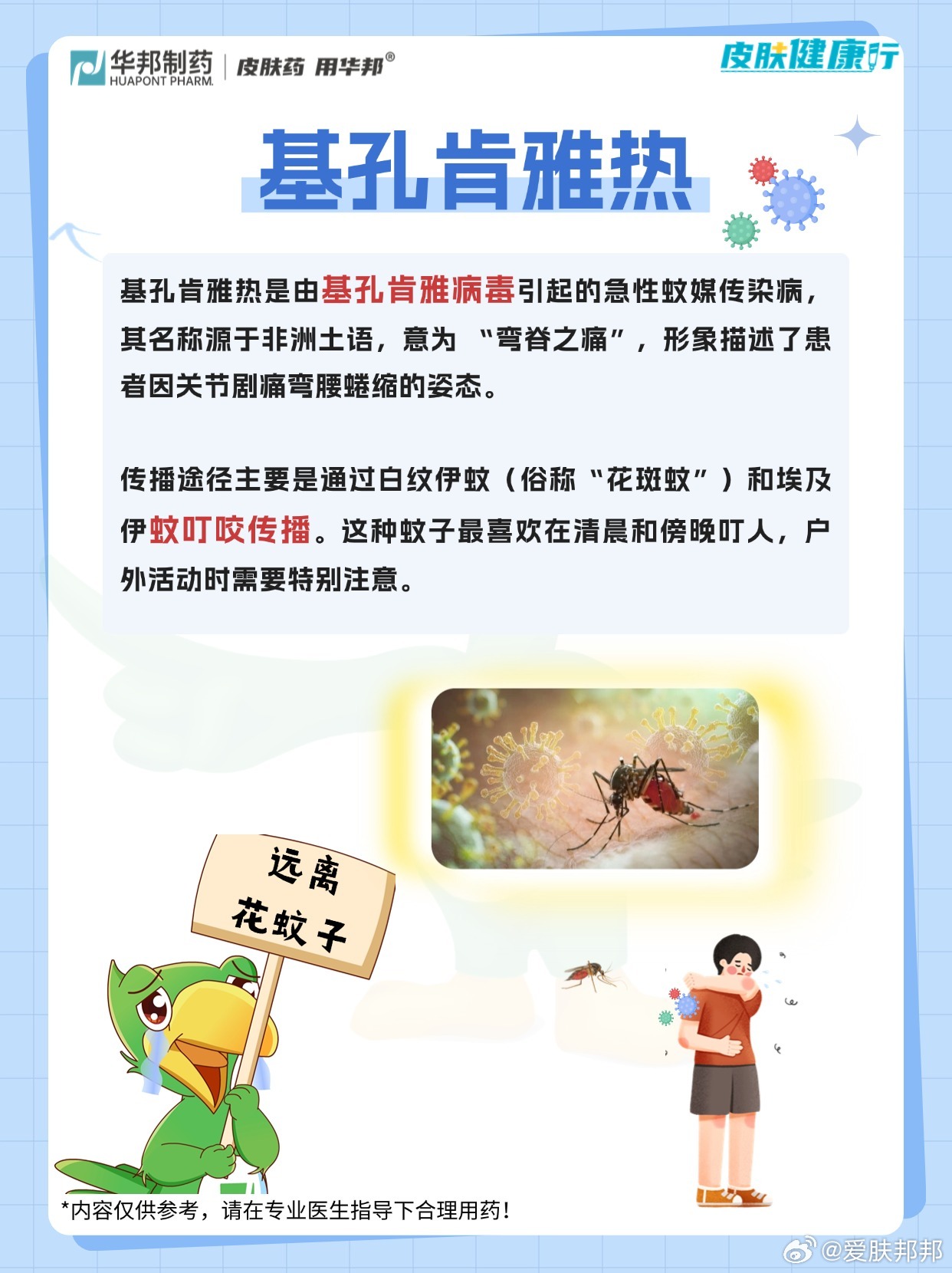 基孔热皮疹症状图片（简述基孔制）