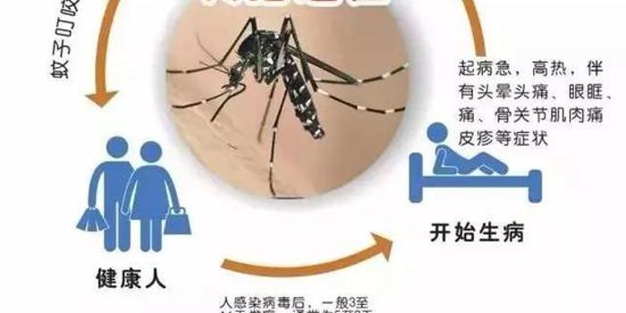 登革热症状/登革热症状图片