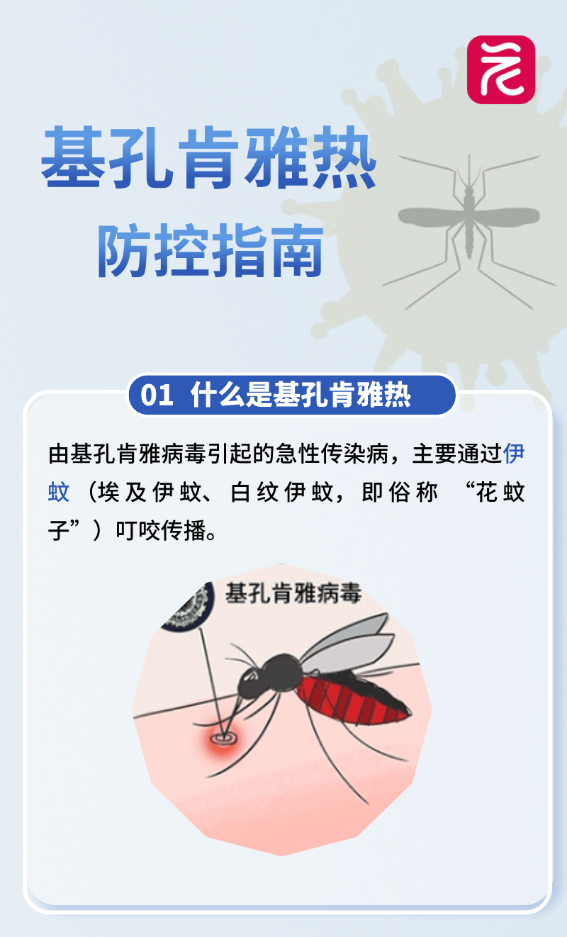 登革热和基孔的区别:登革热热型