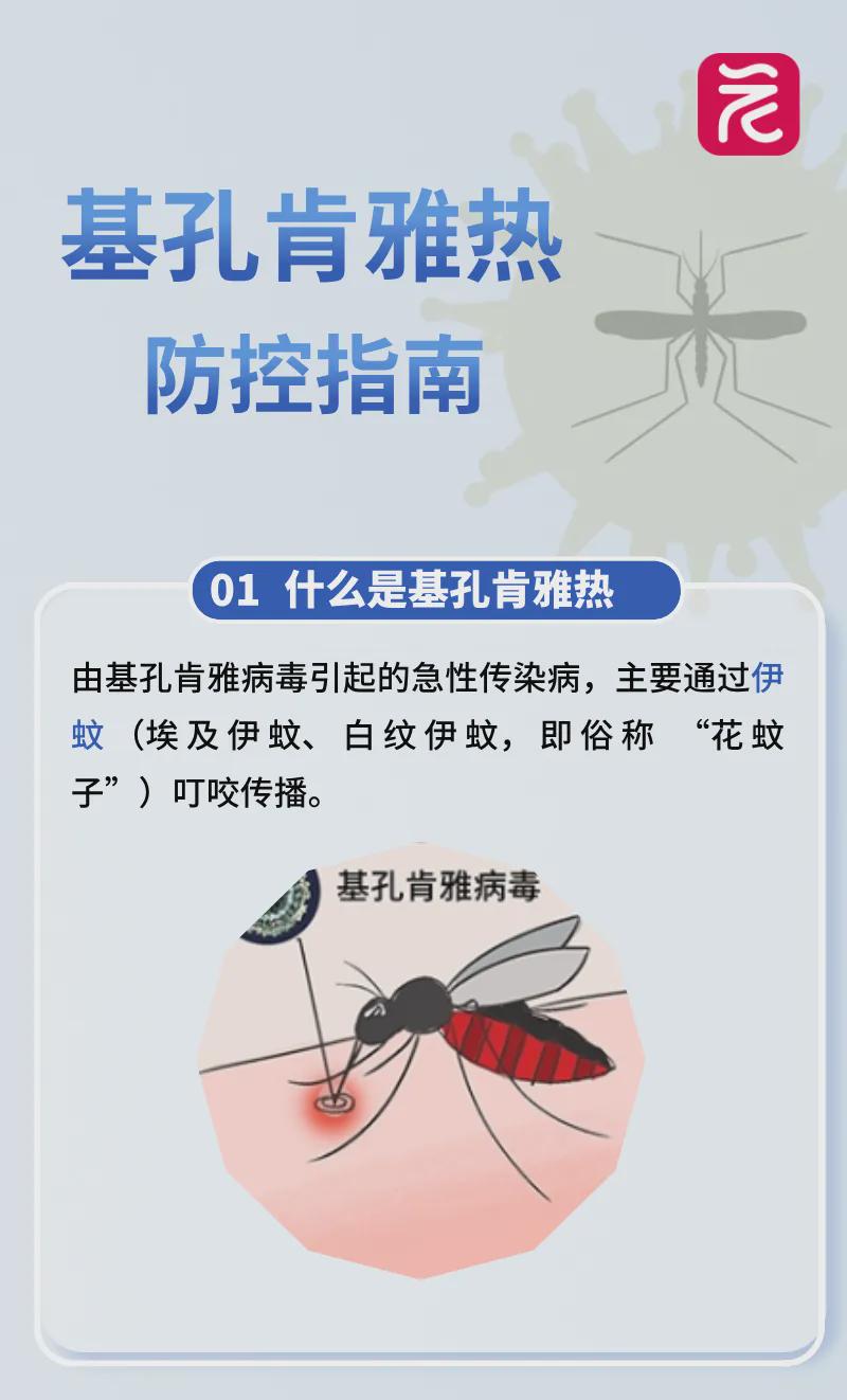 基孔肯尼亚热最突出的症状是（基孔肯尼亚病毒的临床表现）