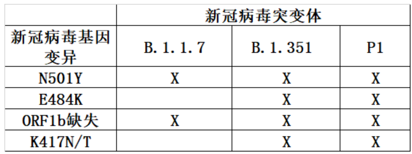 2025最新一轮病毒浙江/浙江病毒变异