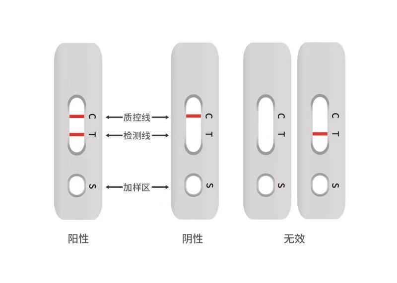 新型冠状病毒的源头/新型冠状病毒的源头在哪里