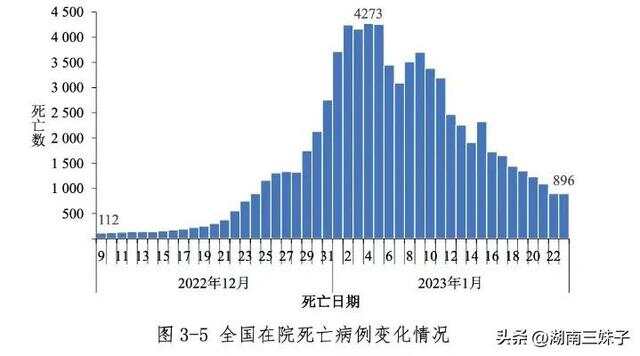 【中国疫情死亡人数累计总共多少人,中国疫情死亡人数有多少】