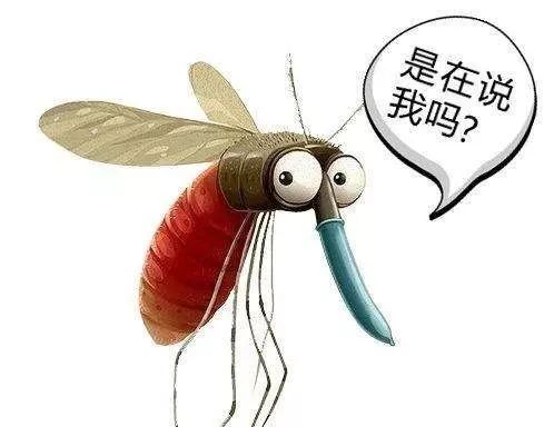 基孔肯雅热蚊子图片（基孔肯尼雅病毒感染症状）
