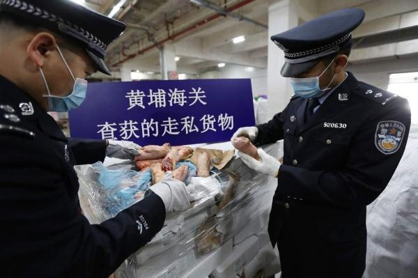 【广东疫情又严重了?/广东疫情到底有多严重】