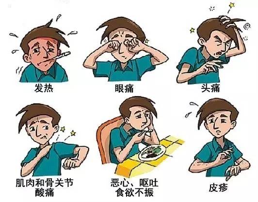 【登革热传播途径图片,登革热传播需三个条件】