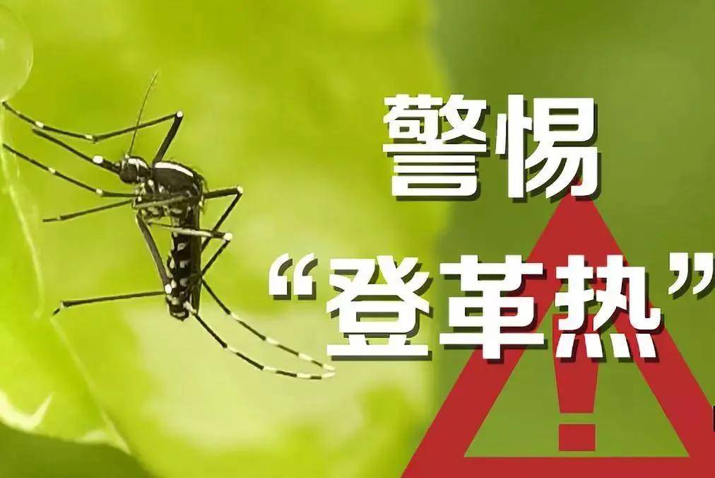 【2025我国登革热最新消息,2020年登革热最新消息】