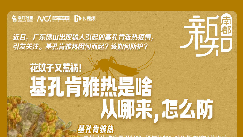 【广州基孔肯尼亚热最新消息/广州基孔肯尼亚热最新情况】
