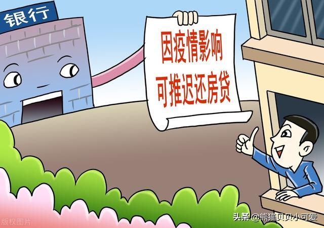 国家提出关于疫情期间延期还贷（关于疫情期间延期还款的政策解释）