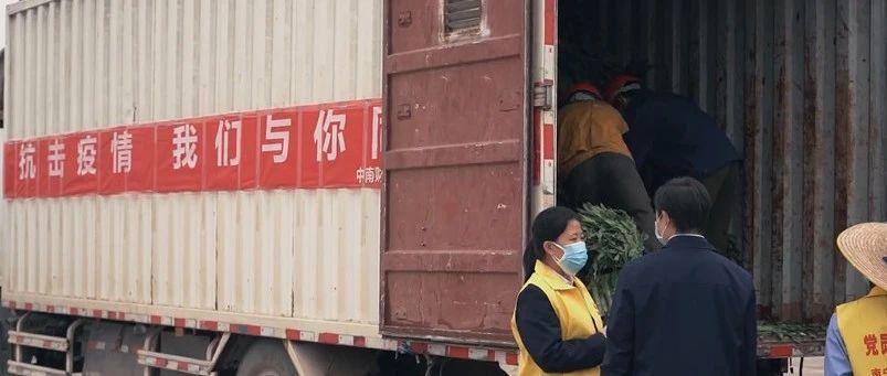 疫情三年税费减免政策有哪些（2020年疫情税费减免）