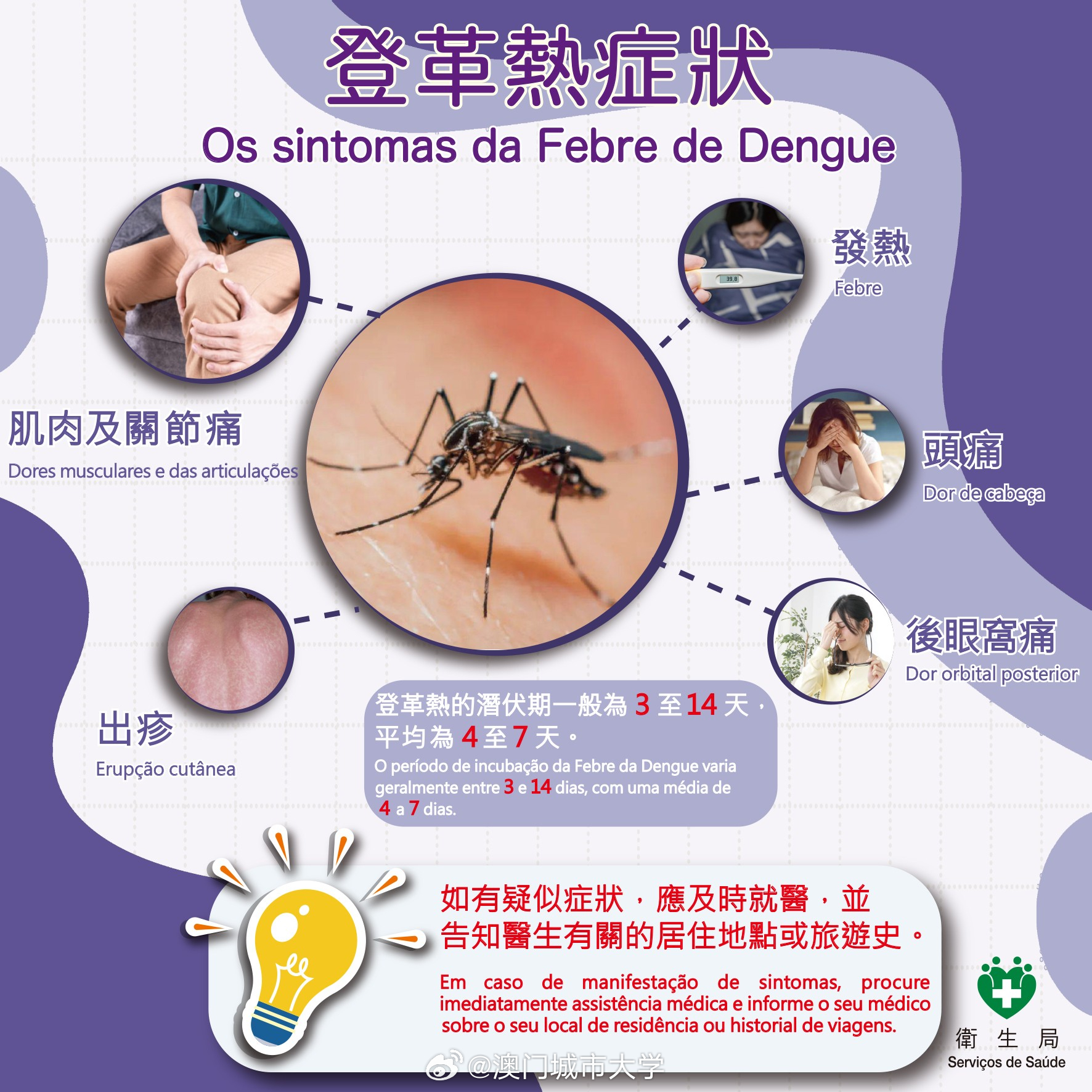 基孔肯尼亚热传播途径有哪些:基孔肯尼亚与登革热