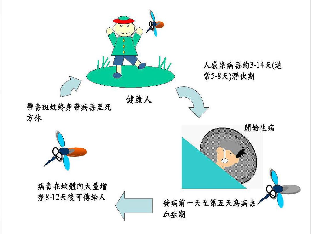 登革热传播途径不包括/登革热传播特点