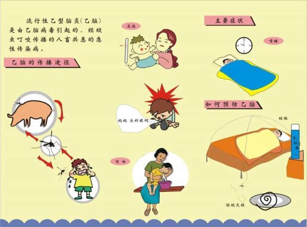 【库蚊,库蚊传播什么疾病】
