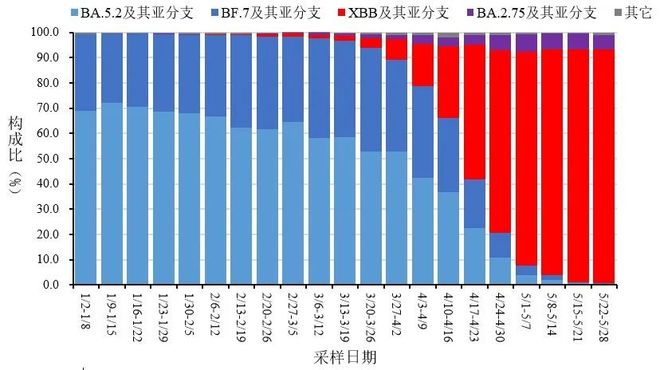 新冠疫情数据统计/新冠疫情数据汇总