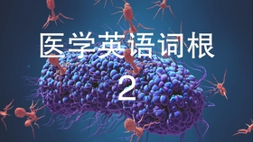 新冠疫情英文怎么说/新冠疫情,用英语怎么说