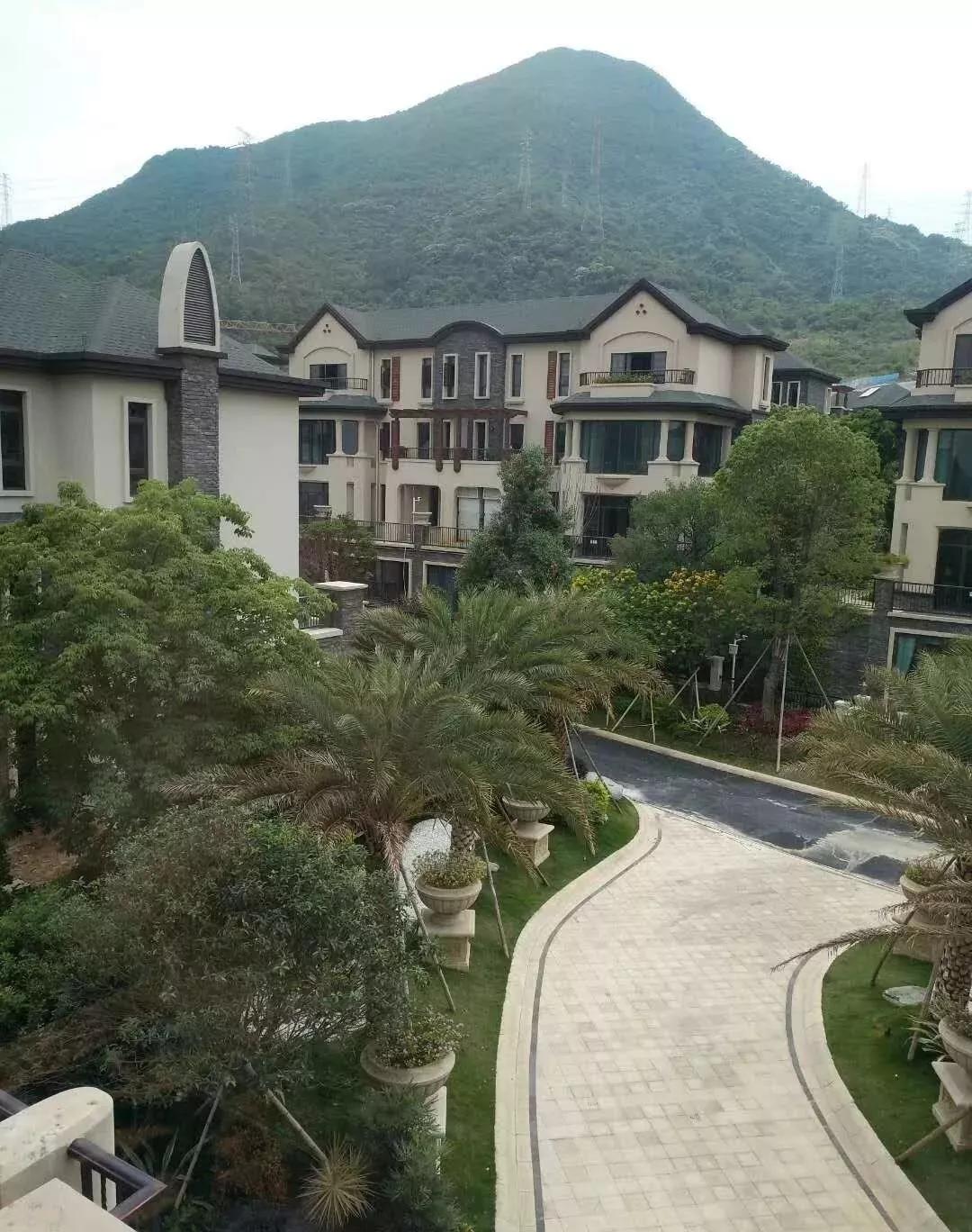 广东疫情症状最新消息:广东疫情最新详情