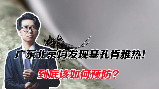 广东肯孔基亚热会人传人吗/基孔肯尼亚病毒图片