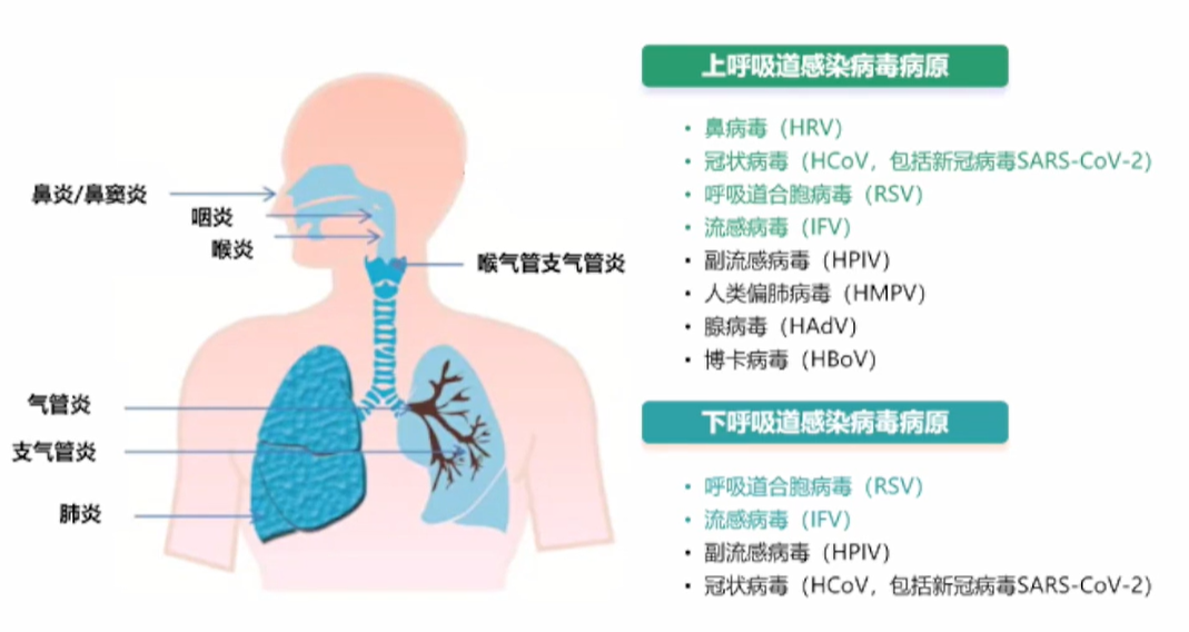 儿童新冠病毒感染一般几天痊愈（儿童新冠病毒感染的临床表现）