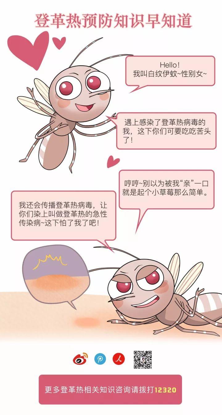 【登革热蚊子长什么样,登革热蚊子和普通蚊子图片】