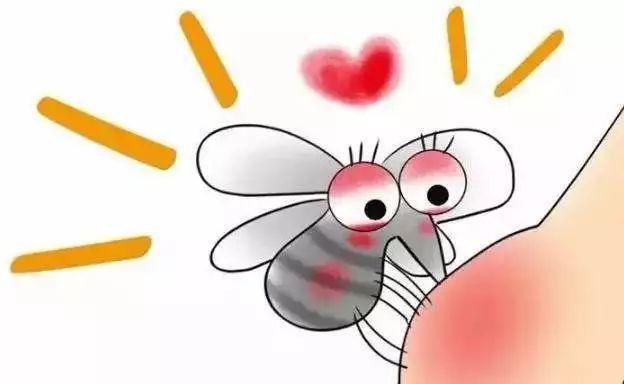 【伊蚊症状/伊蚊怎么防治】