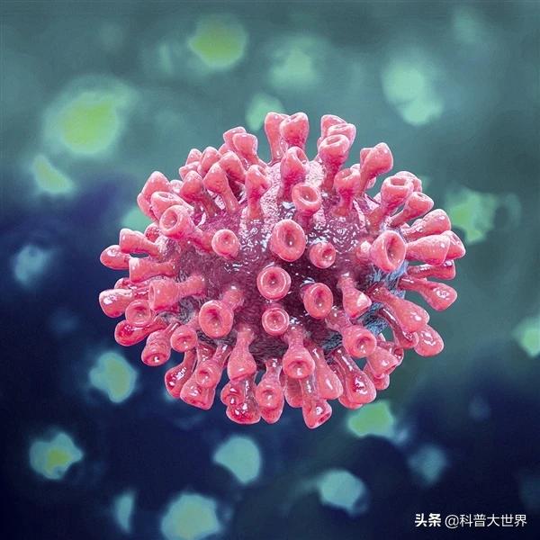 新冠病毒英语全称/新冠病毒的英语缩写