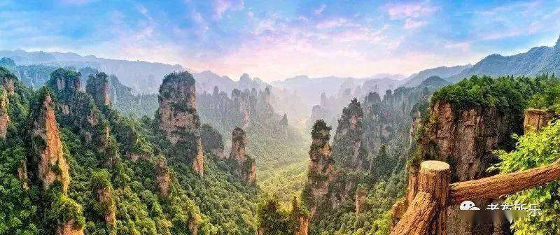 疫情是美国人制造的吗?/疫情是美国发明的吗