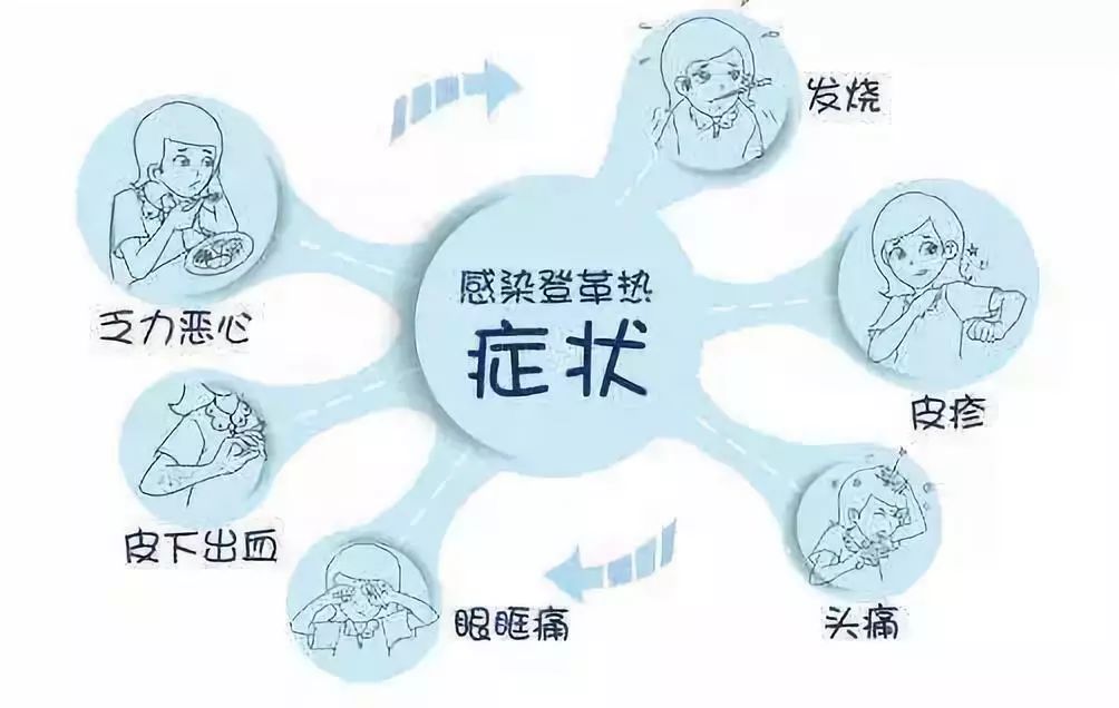 预防基孔肯尼亚热的措施（基孔肯尼亚病毒的临床表现）