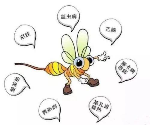 蚊子疫情什么症状（疫蚊长什么样）
