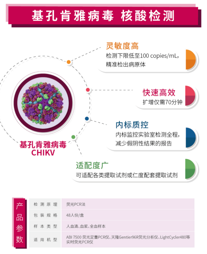 基孔亚病毒（基孔亚病毒传播途径）