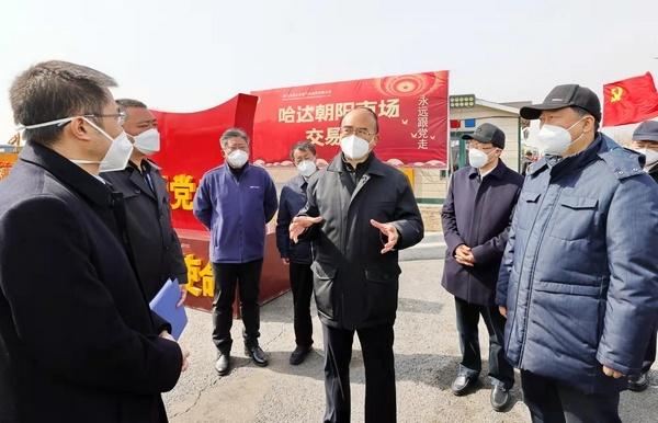 疫情是哪年开始的?:哈尔滨疫情是哪年开始的