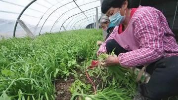【衡水疫情最新通告今天,衡水疫情最新公告】