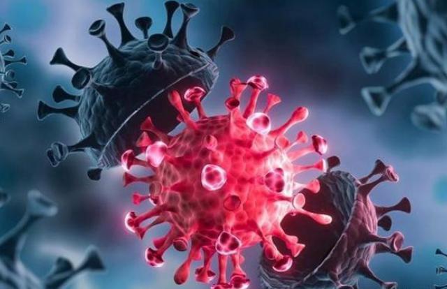 沈阳新冠死亡人数/沈阳新冠状病毒感染人数