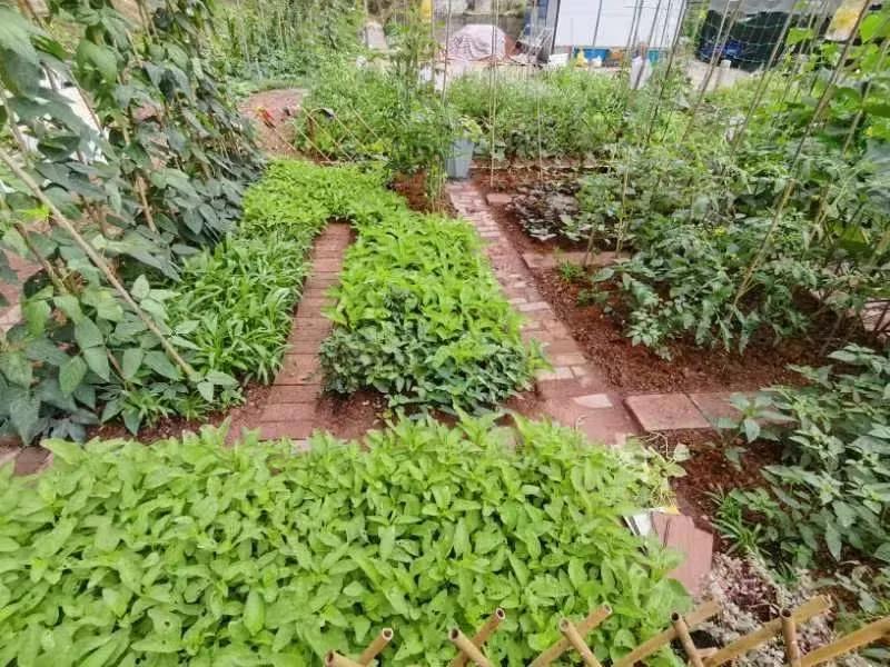 疫情杭州封城合肥要隔离吗(杭州对合肥疫情) 疫情杭州封城合肥要隔离吗(杭州对合肥疫情)