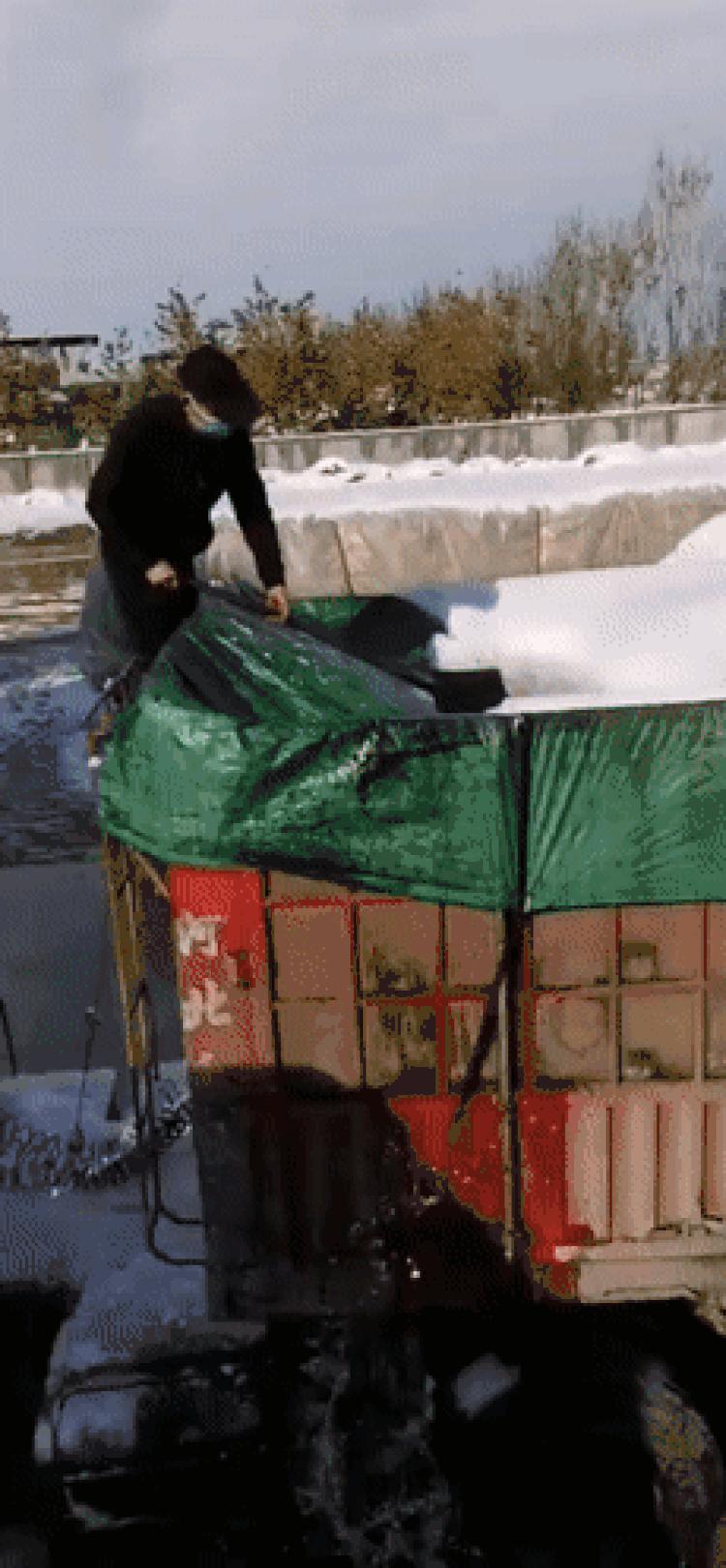 疫情杭州封城合肥要隔离吗(杭州对合肥疫情) 疫情杭州封城合肥要隔离吗(杭州对合肥疫情)