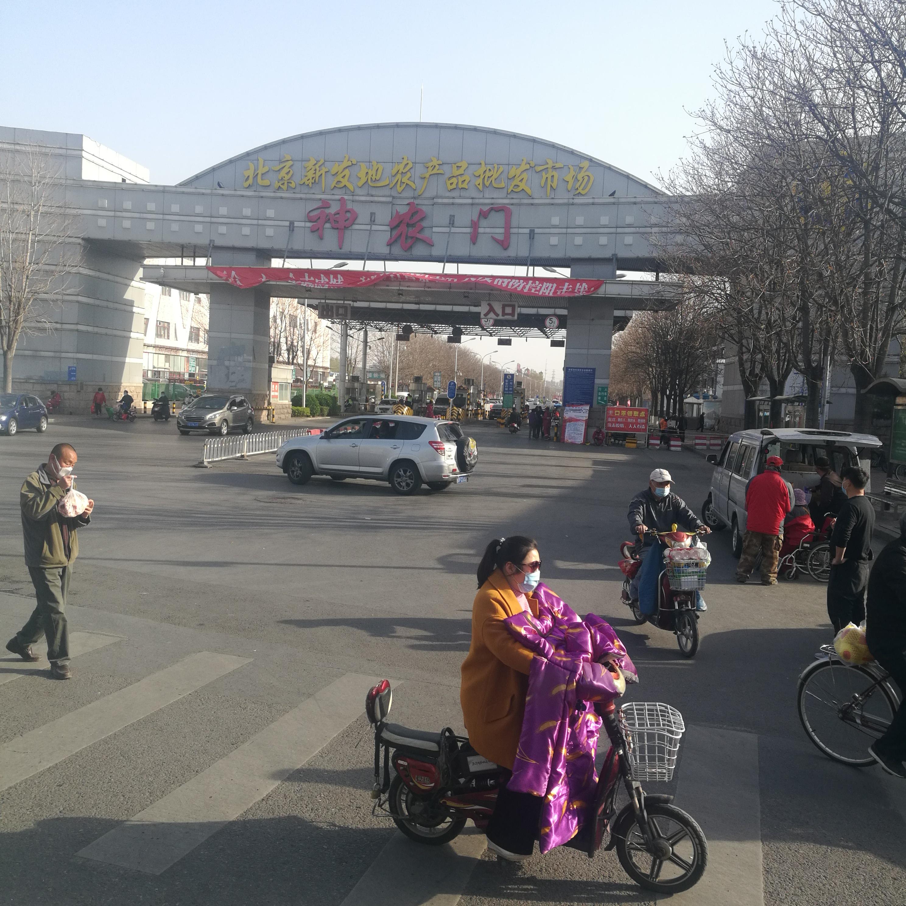 北京市疫情官网/北京市役情 北京市疫情官网/北京市役情