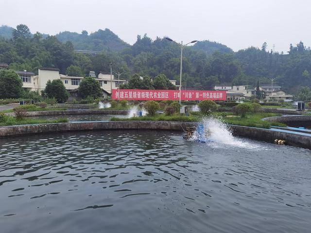 香港疫情相关政策四川省最新/香港疫情管控措施 香港疫情相关政策四川省最新/香港疫情管控措施