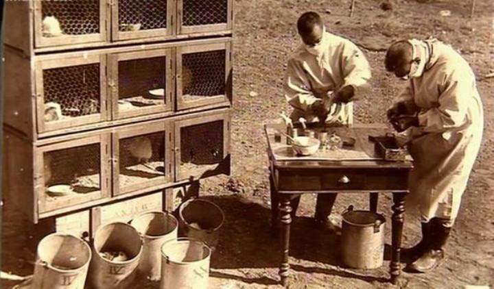 疫情哈尔滨死亡率是多少:哈尔滨疫情死亡病例 疫情哈尔滨死亡率是多少:哈尔滨疫情死亡病例