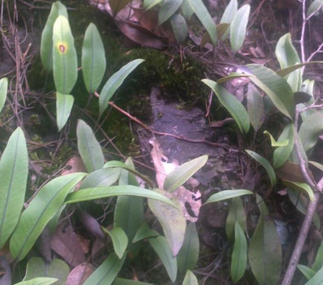 湖北省疫情官网台湾省疫情通报(湖北疫情防控指挥部最新通告) 湖北省疫情官网台湾省疫情通报(湖北疫情防控指挥部最新通告)