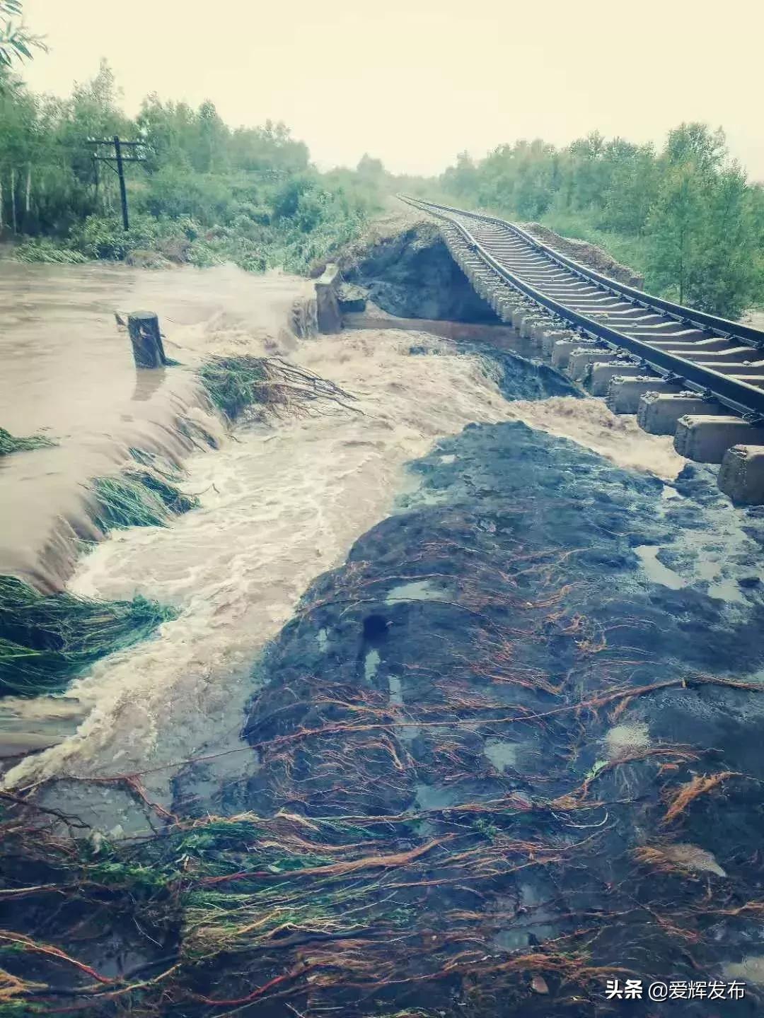 【哈尔滨部分火车停运,哈尔滨部分火车停运了吗】