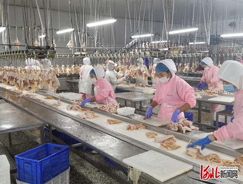 河北省疫情最新行程轨迹消息/河北省疫情最新的数据 河北省疫情最新行程轨迹消息/河北省疫情最新的数据