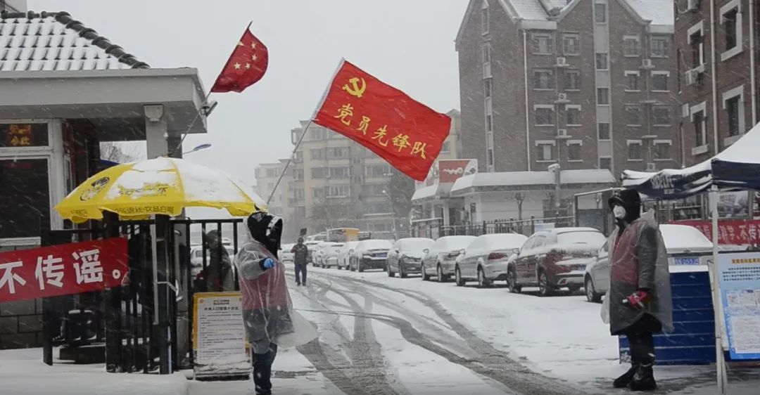 天津青西区疫情/天津西青道疫情 天津青西区疫情/天津西青道疫情