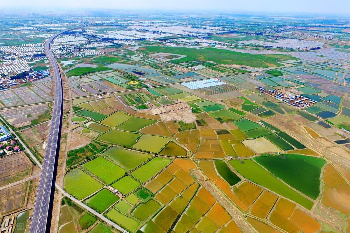 上海宁夏新冠:上海 宁夏 新冠 上海宁夏新冠:上海 宁夏 新冠