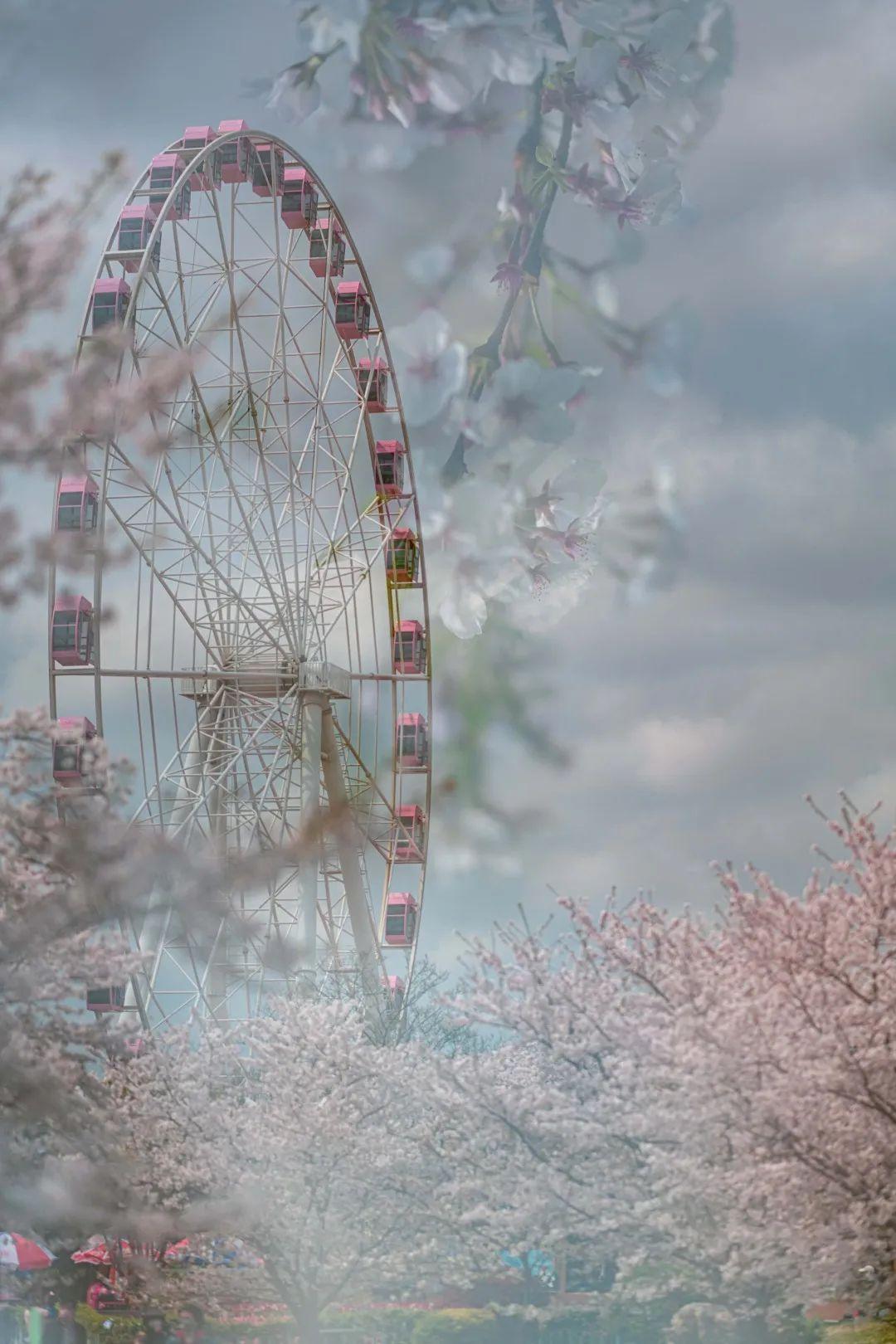 上海疫情2020春节最新通知(上海春节疫情管控) 上海疫情2020春节最新通知(上海春节疫情管控)