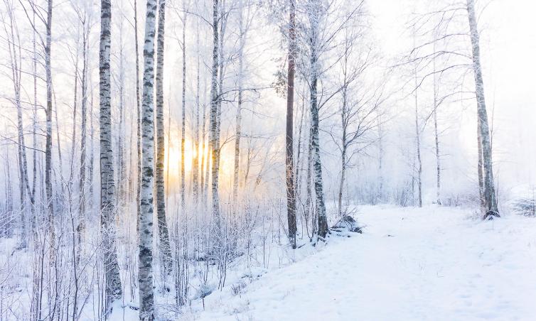 【哈尔滨对北京来哈人员最新政策/哈尔滨进北京政策】