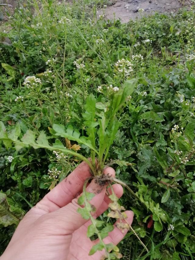 南昌阳光家园有产权吗(南昌阳光家园有多少户) 南昌阳光家园有产权吗(南昌阳光家园有多少户)