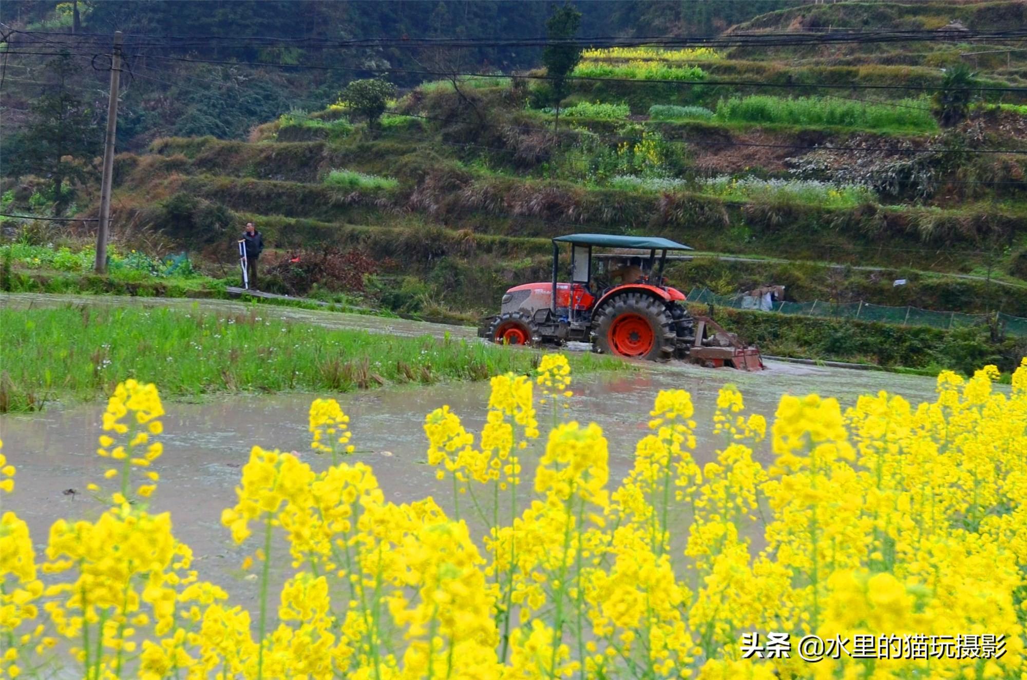 贵州省的防疫情况/贵州省防疫最新通告