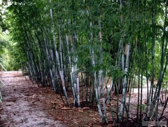 澳门回海口最新规定:澳门回内地最新政策