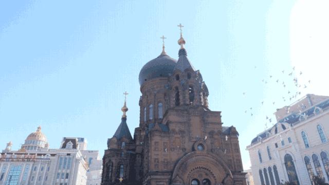 疫情哈尔滨全部停运了吗石家庄:哈尔滨疫情暂停营业通知 疫情哈尔滨全部停运了吗石家庄:哈尔滨疫情暂停营业通知